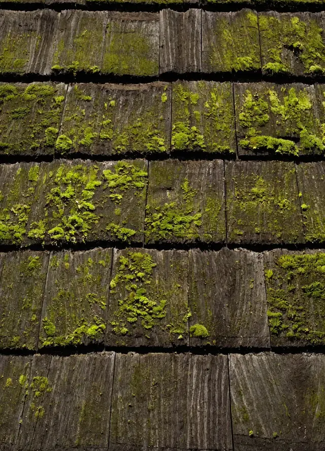 Roof before restoration